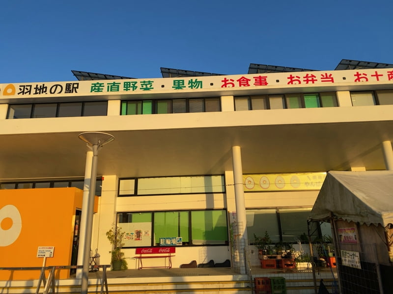 羽地の駅やんばるたまごの外観