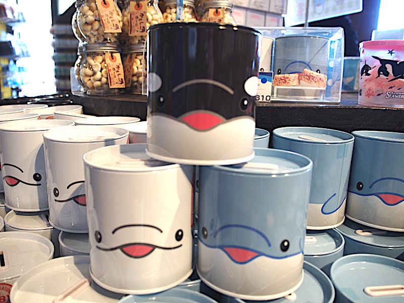 鴨川シーワールドのオリジナル貯金箱クランチ