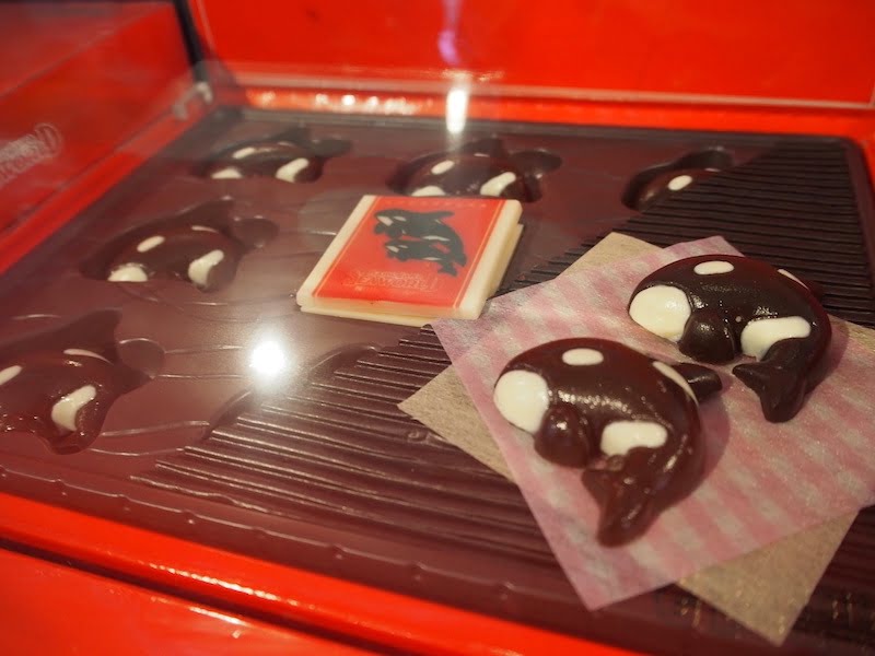 鴨川シーワールドのちょこるか