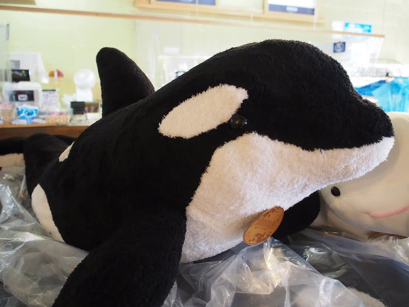 鴨川シーワールドのシャチのぬいぐるみ