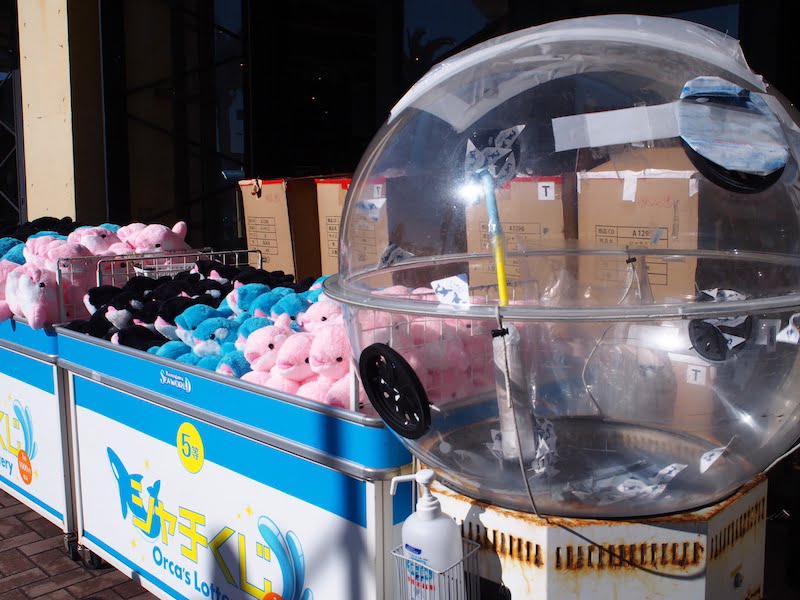 鴨川シーワールドのシャチくじ