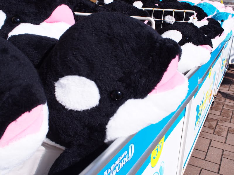 鴨川シーワールドのシャチくじ