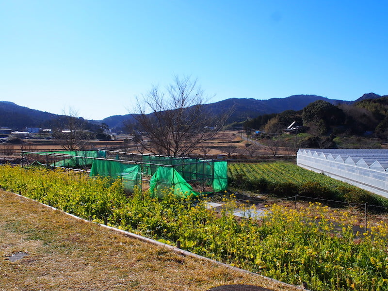 みんなみの里の風景
