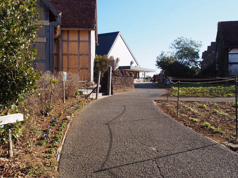 ローズマリー公園の庭