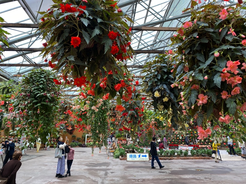 松江フォーゲルパークの景色