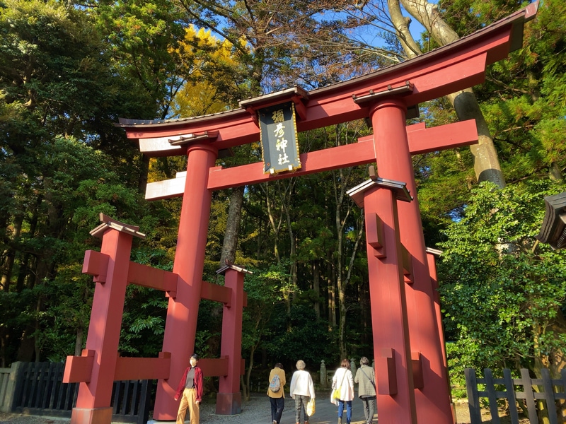 弥彦神社の鳥居